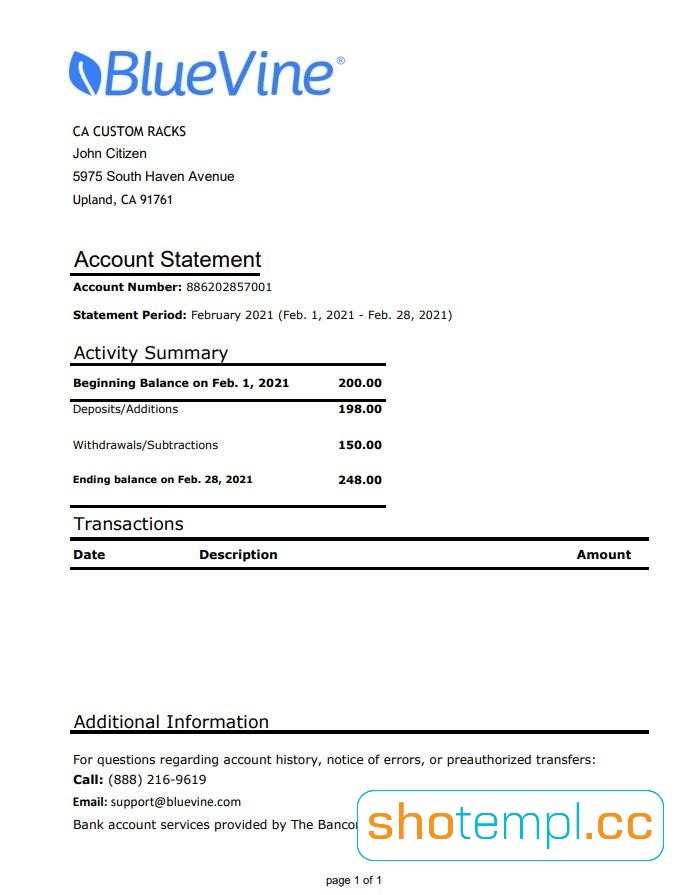 Bluevine Bank Statement PDF Templates